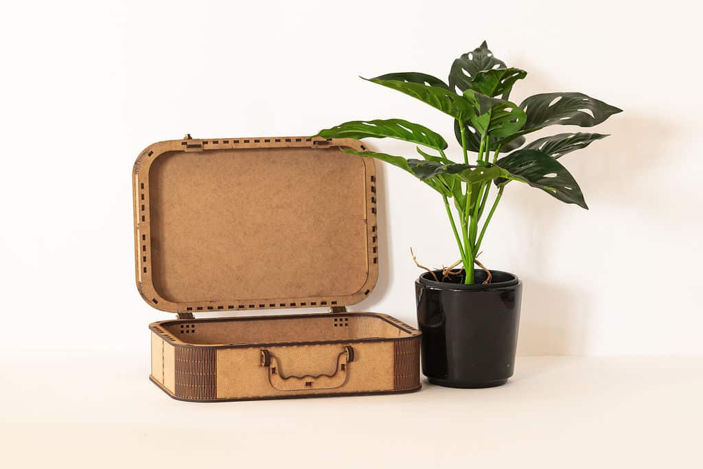 Storage Box - Image 9