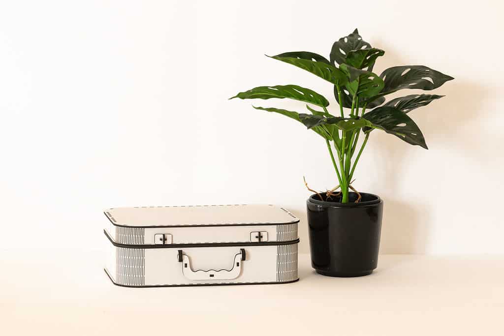 Storage Box - Image 8