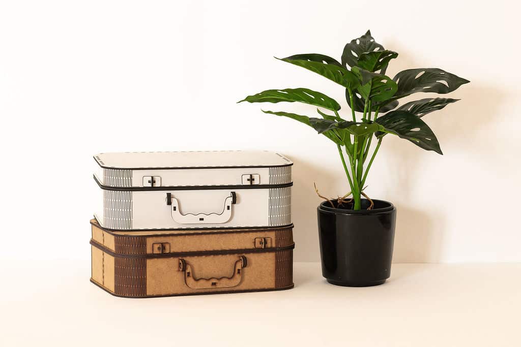 Wooden Storage Box