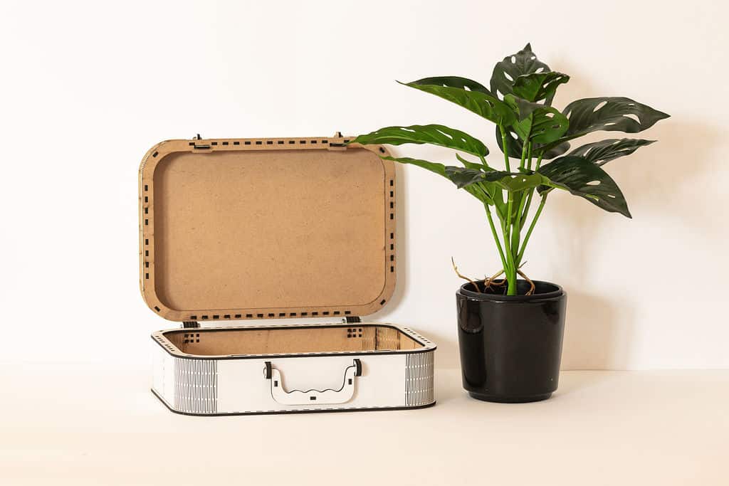 Storage Box - Image 7